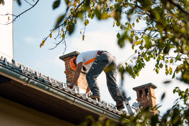 Quick and Trustworthy Emergency Roof Repair Services in La Grange, NC