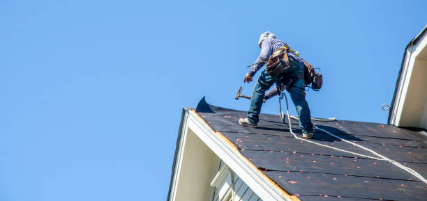 Best Roof Gutter Cleaning  in La Grange, NC